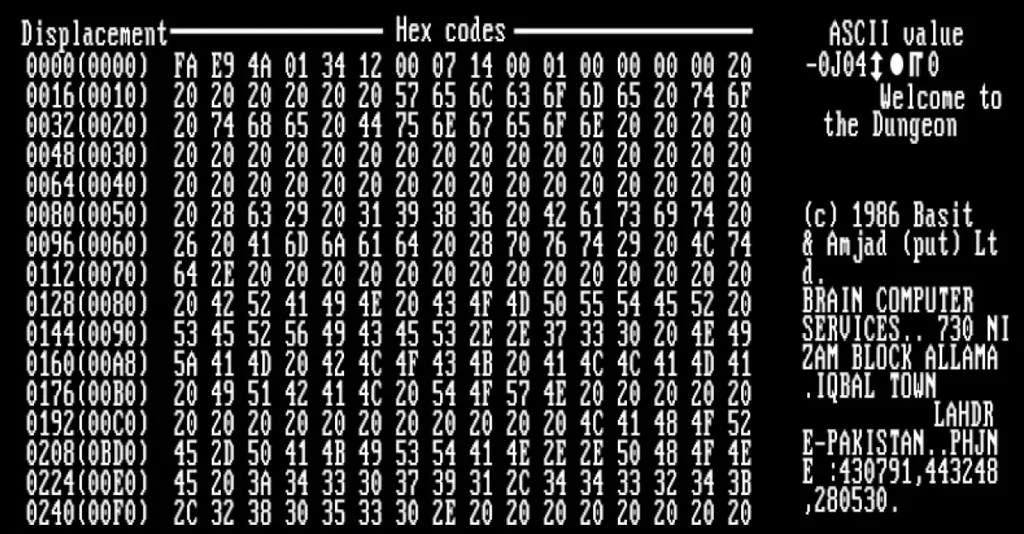 The First Computer Virus: A Wild Ride Through 50+ Years of Digital Pandemics 3 Details of this photograph include (1) it is the hex dump of the boot sector of a floppy (A:) containing the first ever PC virus, Brain, (2) PC Tools Deluxe 4.22, a file manager and low-level editor, was being used (3) the PC was a 8088 running at 8 MHz and had 640 Kb of RAM (4) the graphics card was a CGA